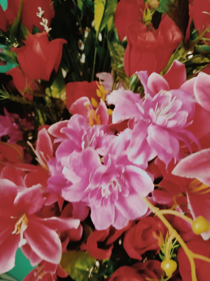 Flowers