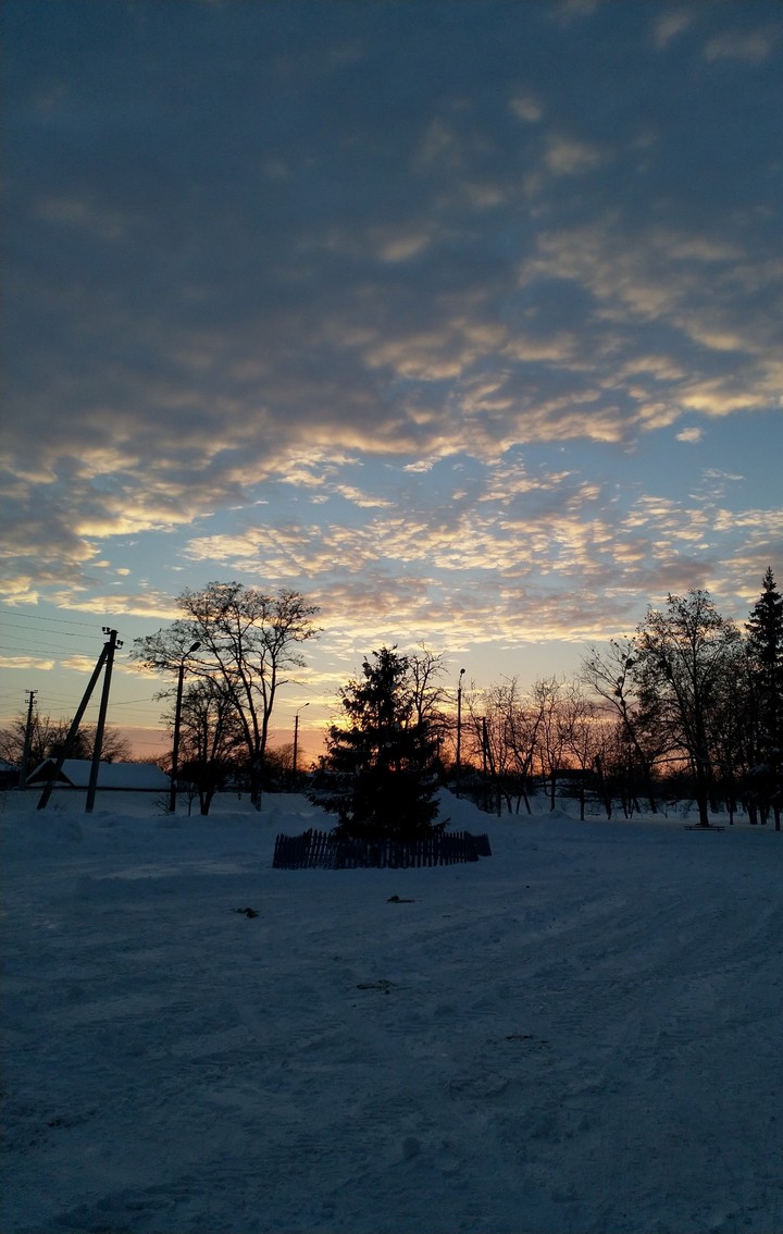 Winter sunset