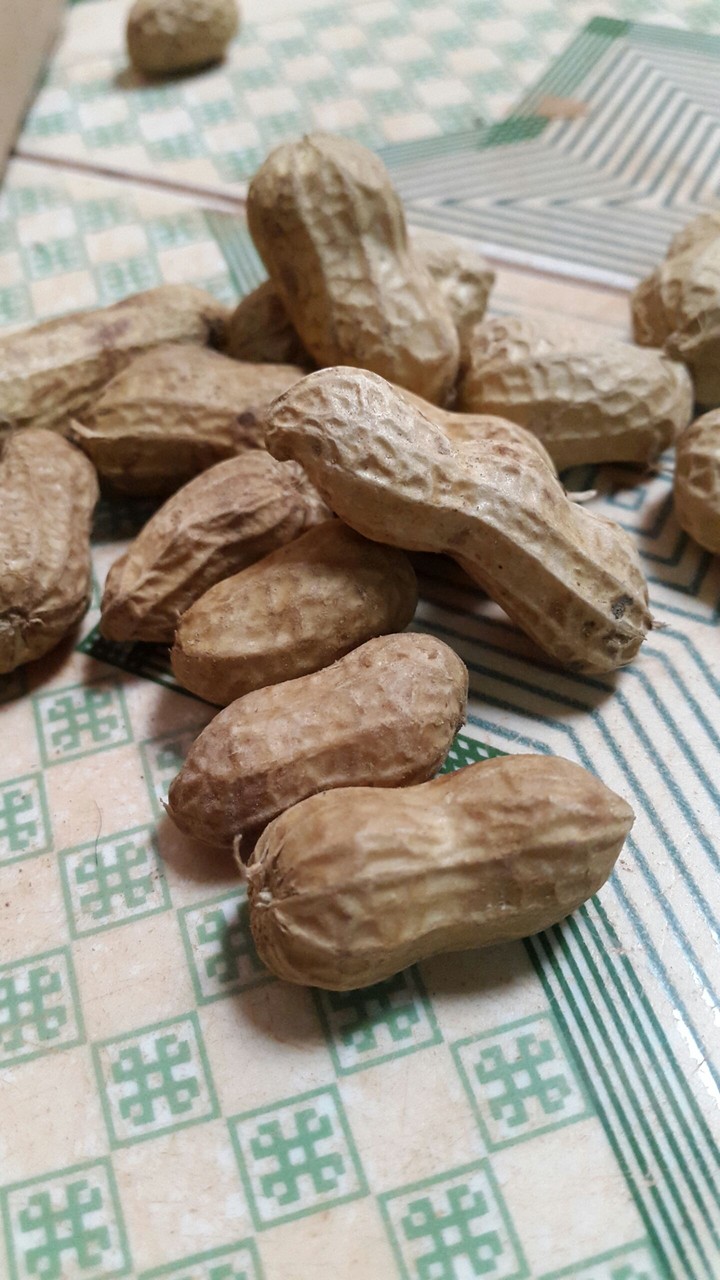 peanut