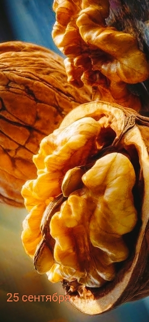 sfondi superfood, walnut