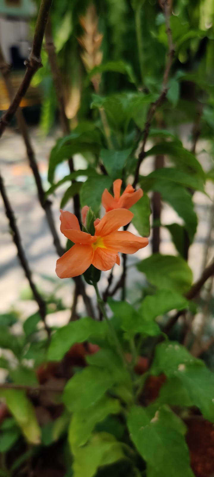 nature # beautiful#