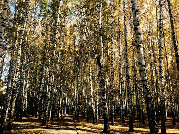 Russia, Tomsk