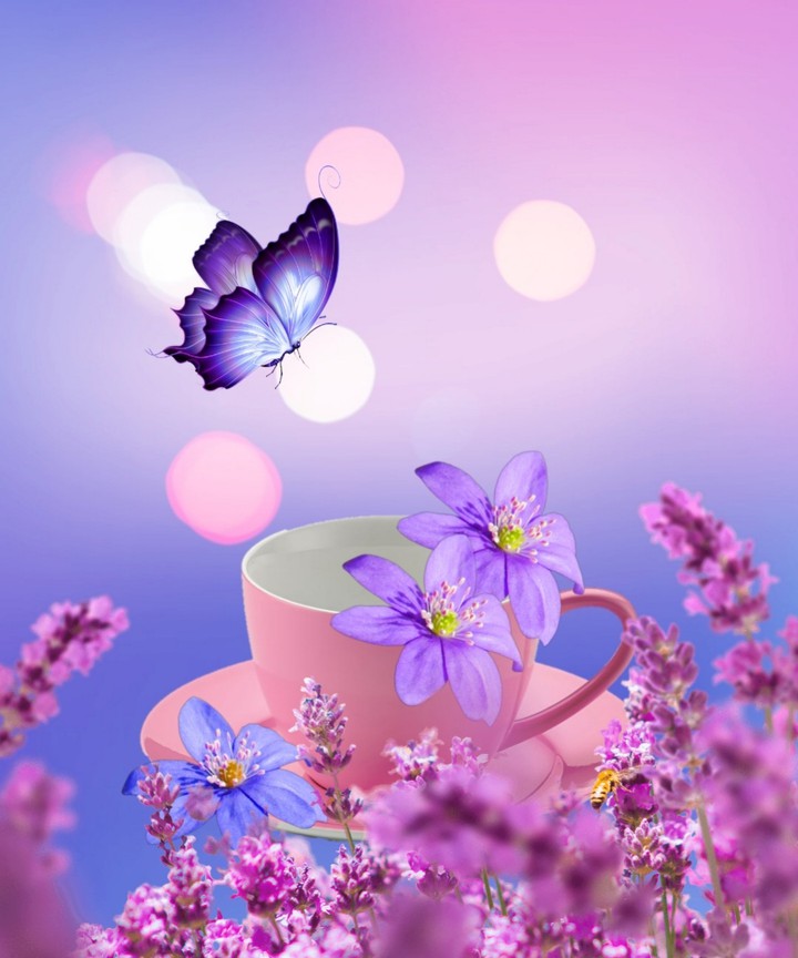 wallpaper...