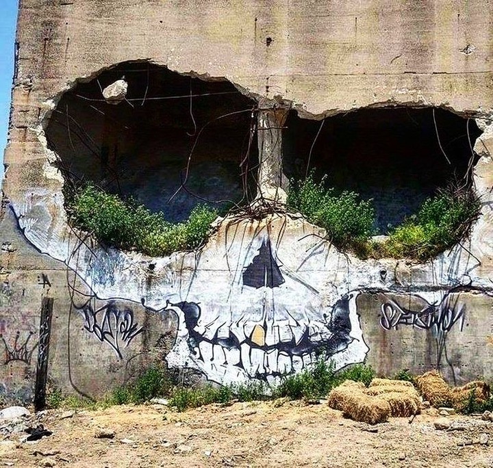 Skull