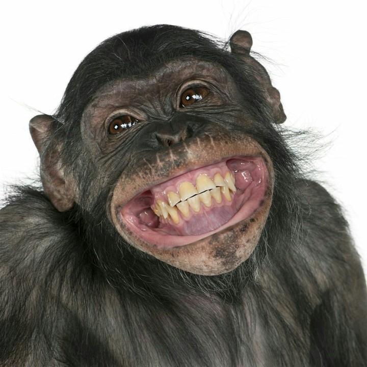 Scimmiottare!!!!! :-D