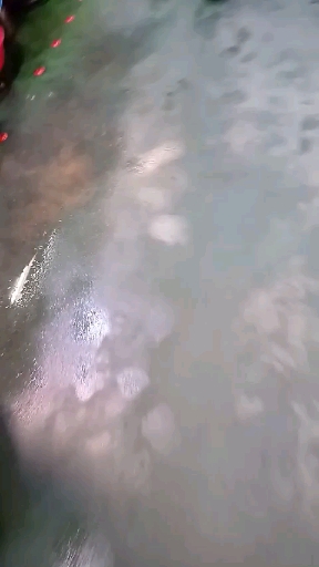 회집