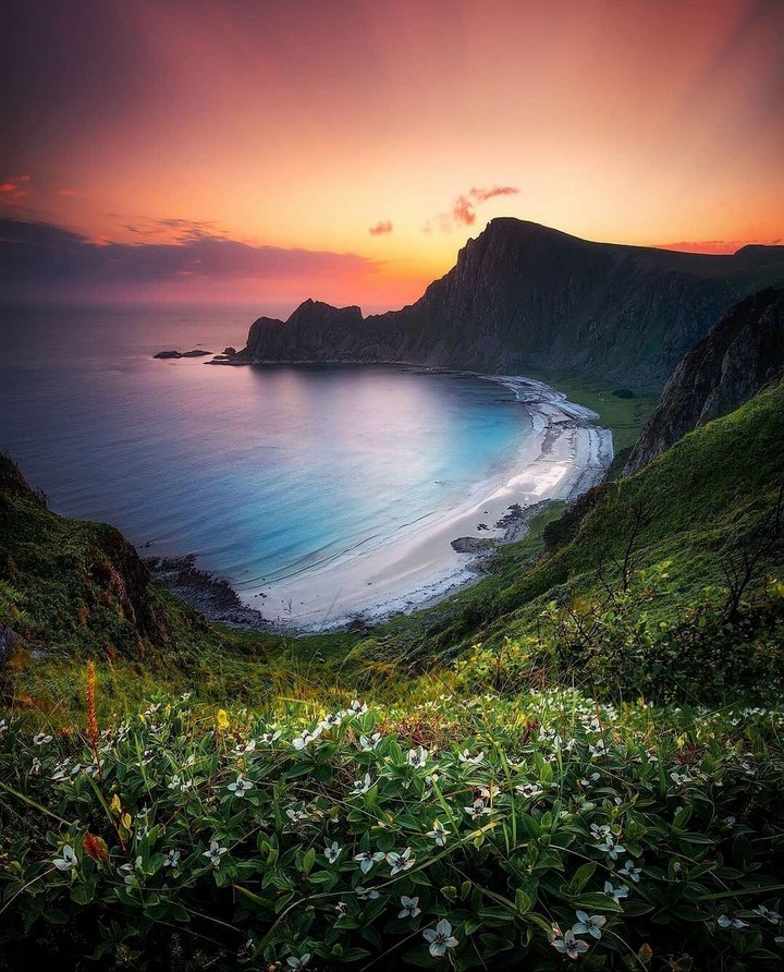 Nature's Beauty
