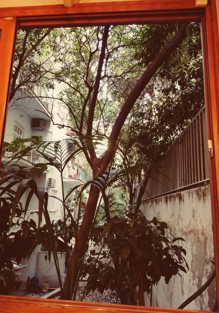 City Jungle.