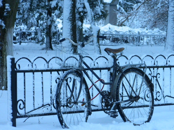 Snowy day
