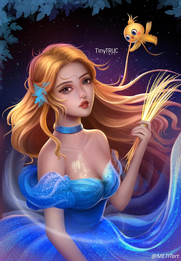 CINDERELLA ~ VIRGO ~