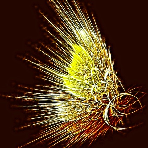 commodity, organism háttérképek