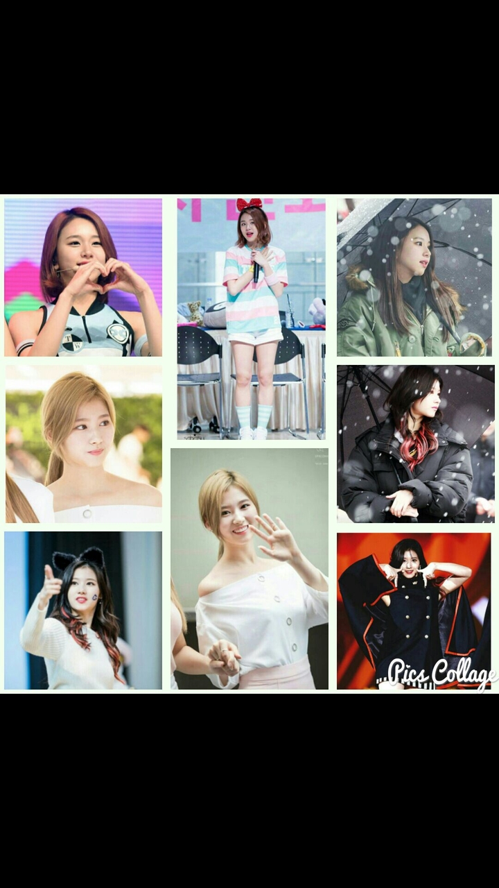 트와이스 사나와 채영