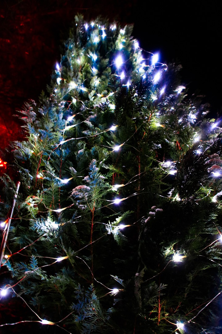 Christmas tree