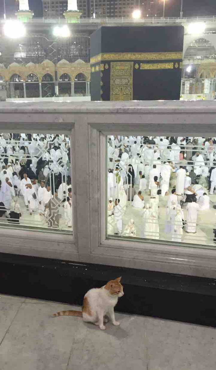 best pic... ?