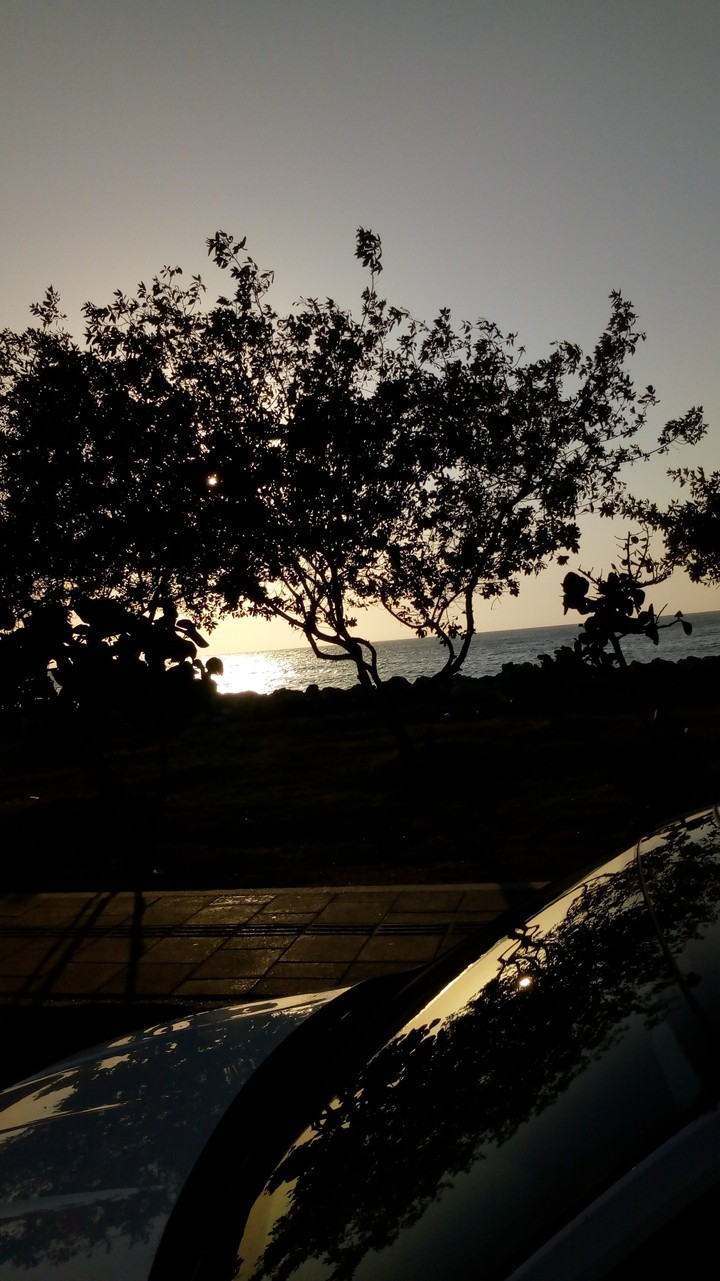 Cartagena Sea