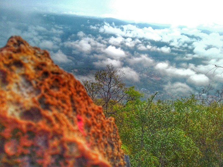 Morning Scenery