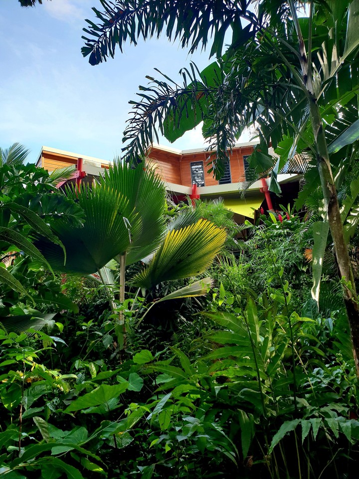 House in Guadeloupe
