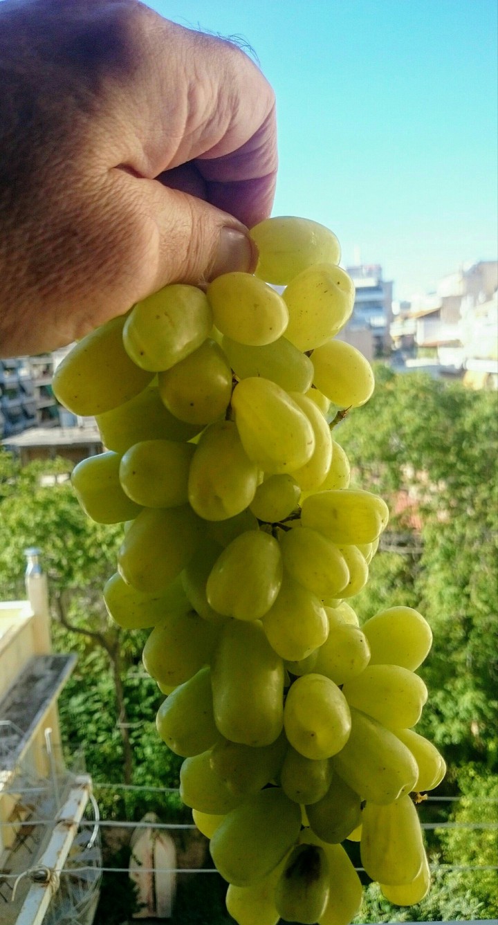 STAMATIOS