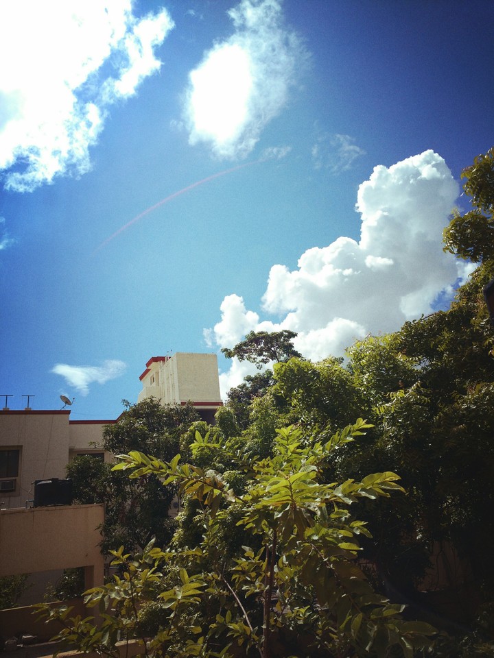 Summer clouds