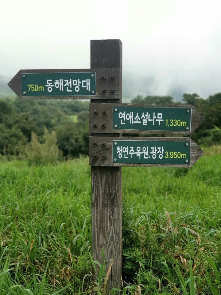 이정표