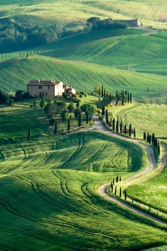 Everywhere green