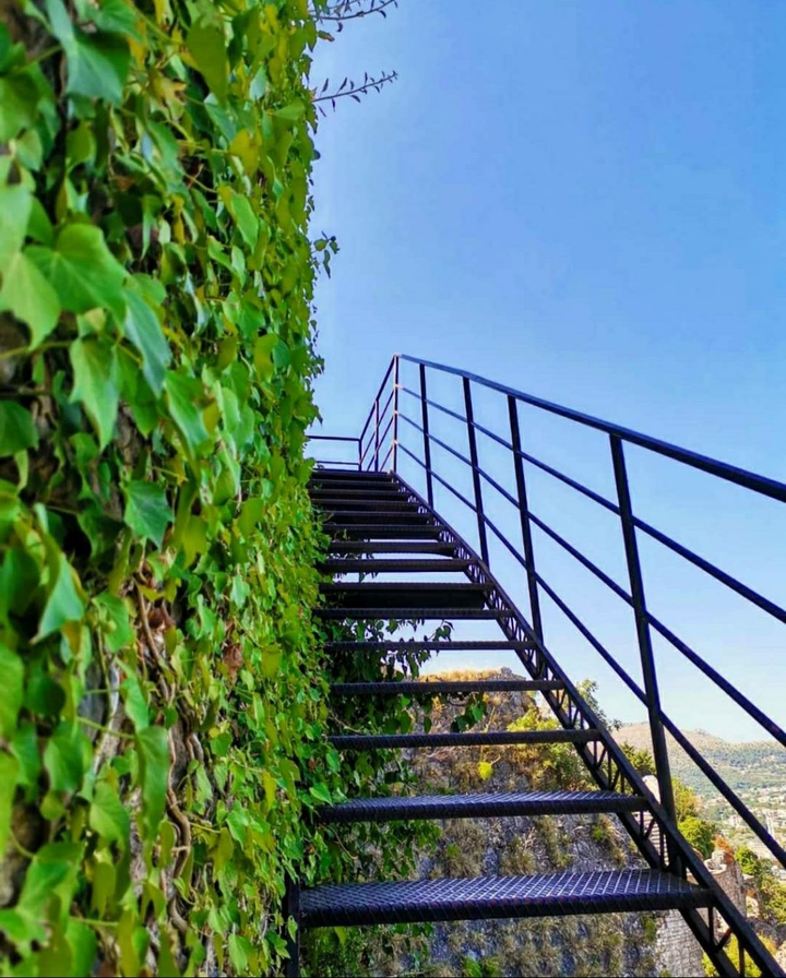 And she's buying a stairway to heaven. Led