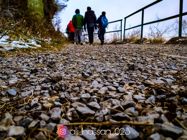 Hiking Track