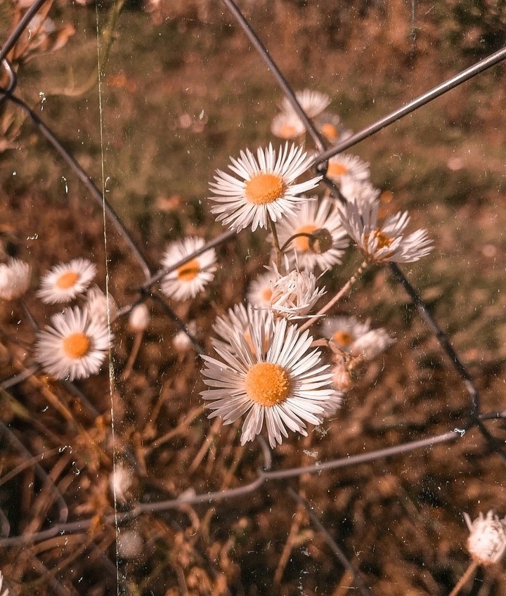 осень