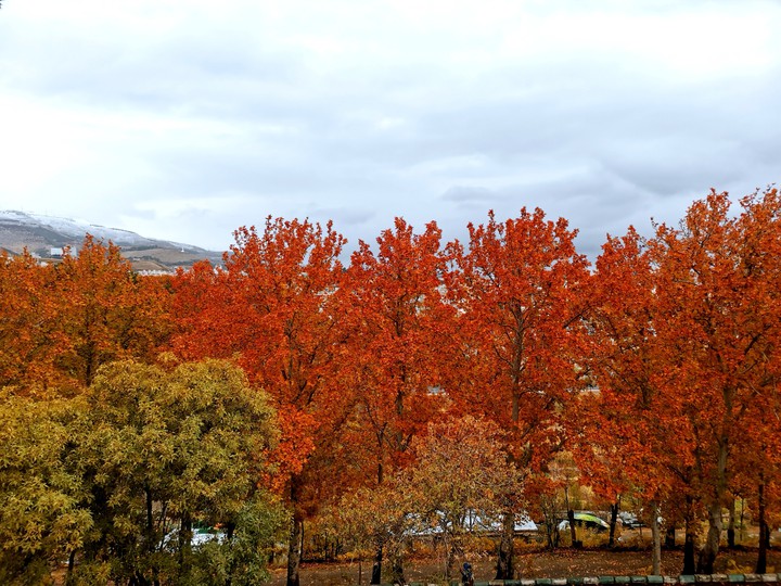 fall