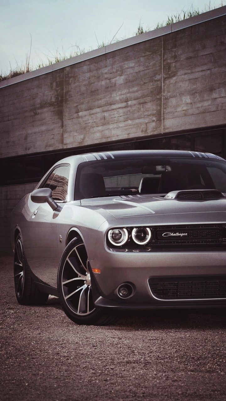mustang
