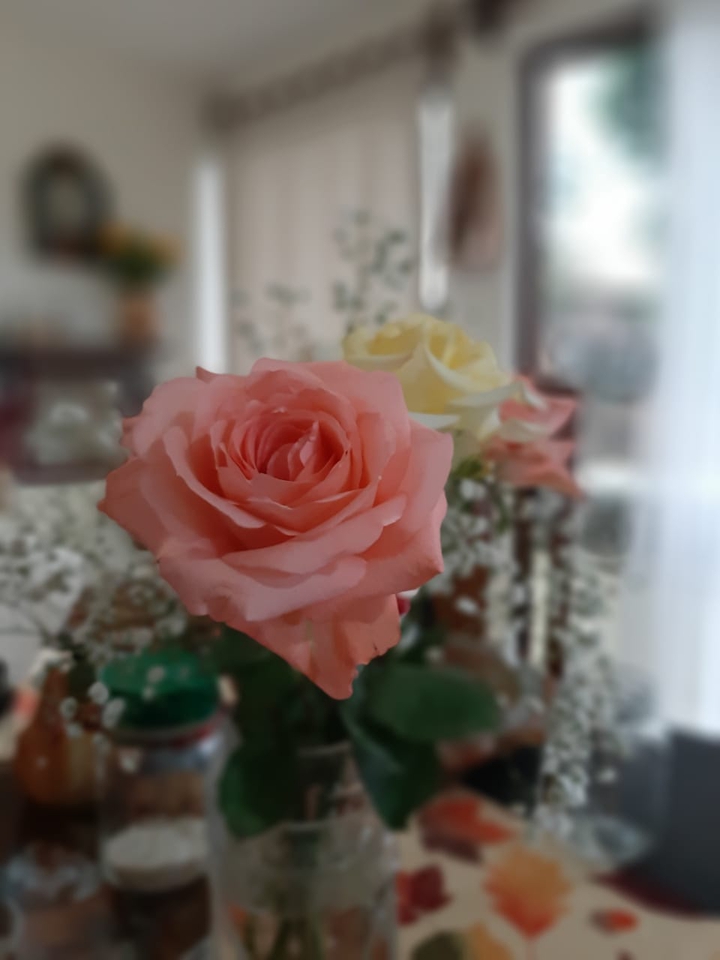 Flower blossom