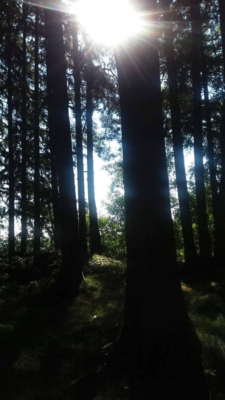 Sonntagsspaziergang