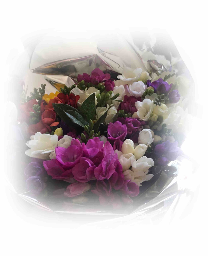 Fresias