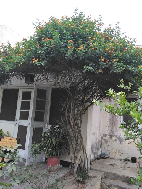 An Old Home