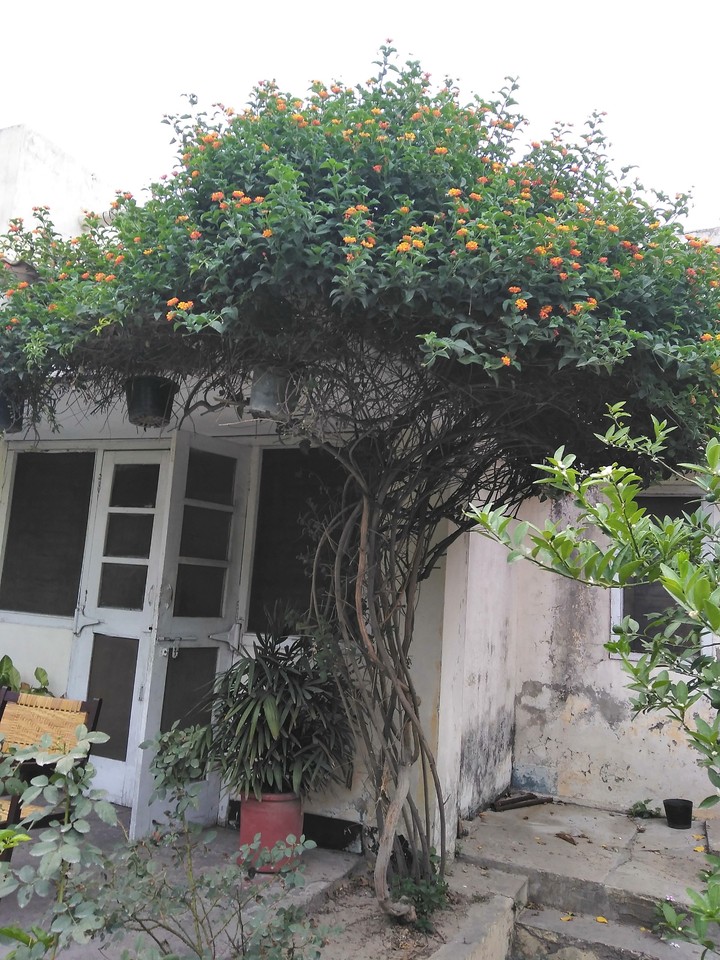 An Old Home