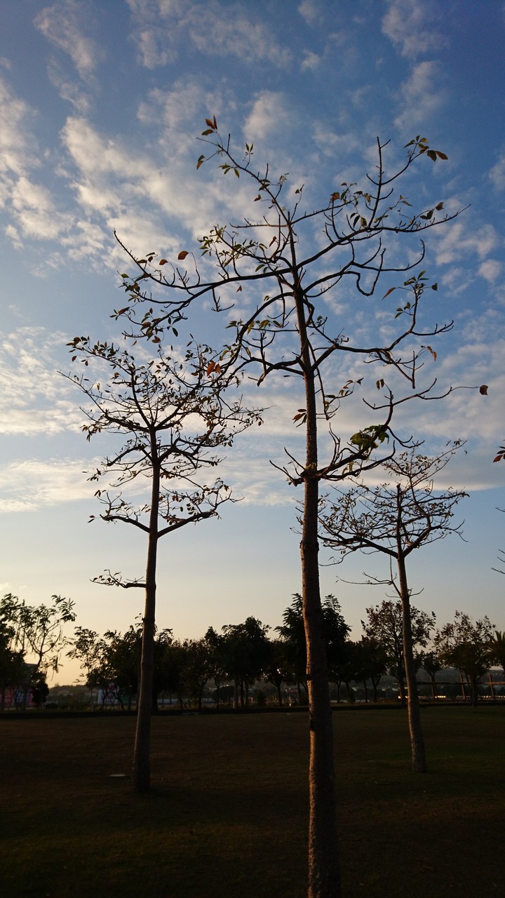 黃昏的天空