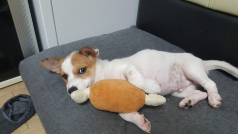 개인생 살맞나네