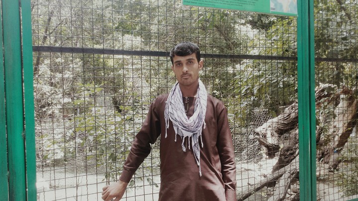 نوید