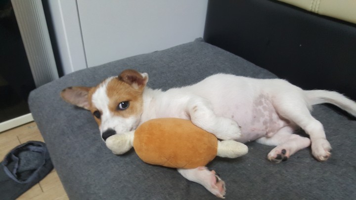 개인생 살맞나네