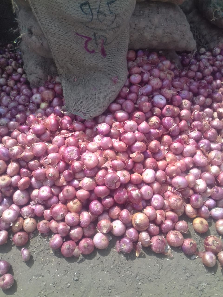 Indian onion