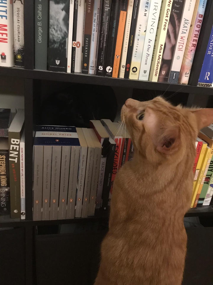 What Should I Read?