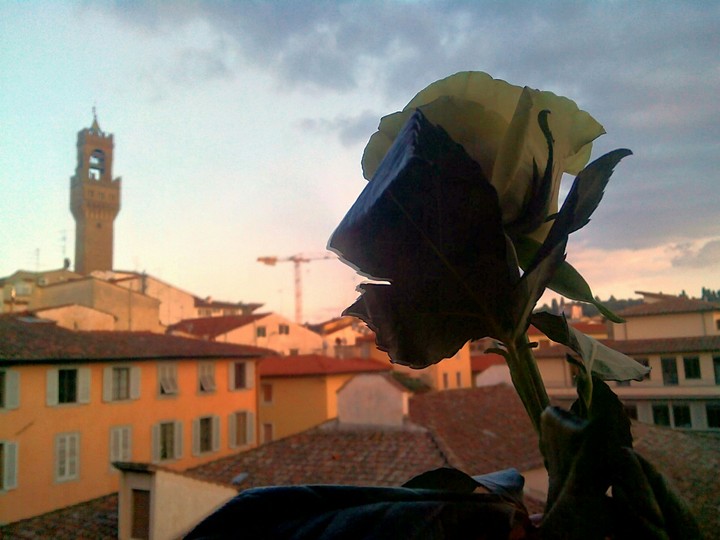 Firenze amor