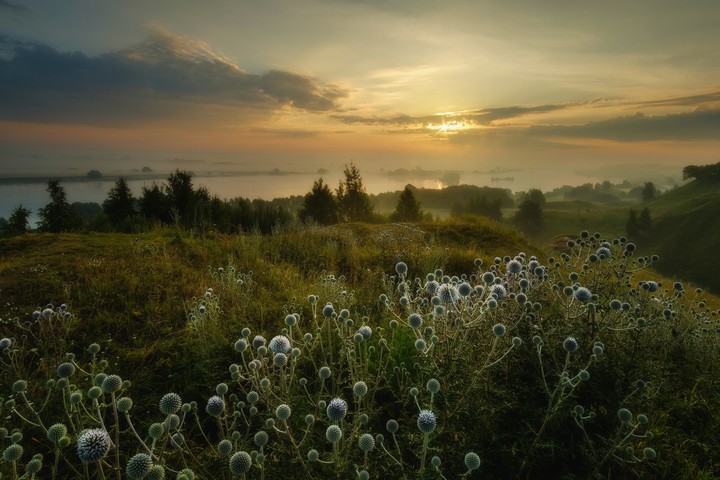 Nature's Beauty