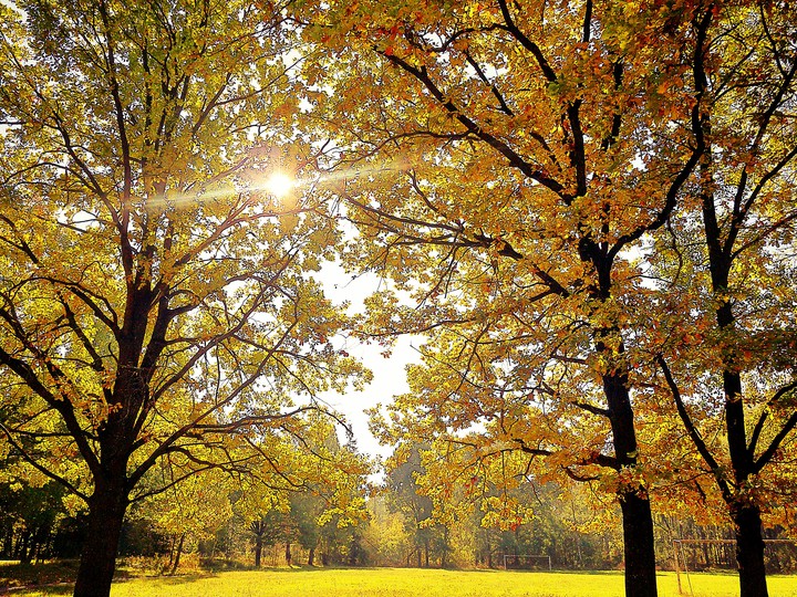 hello, Autumn