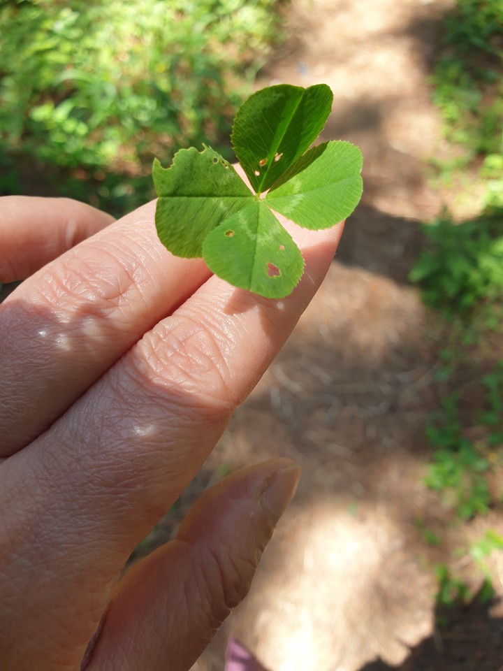 .