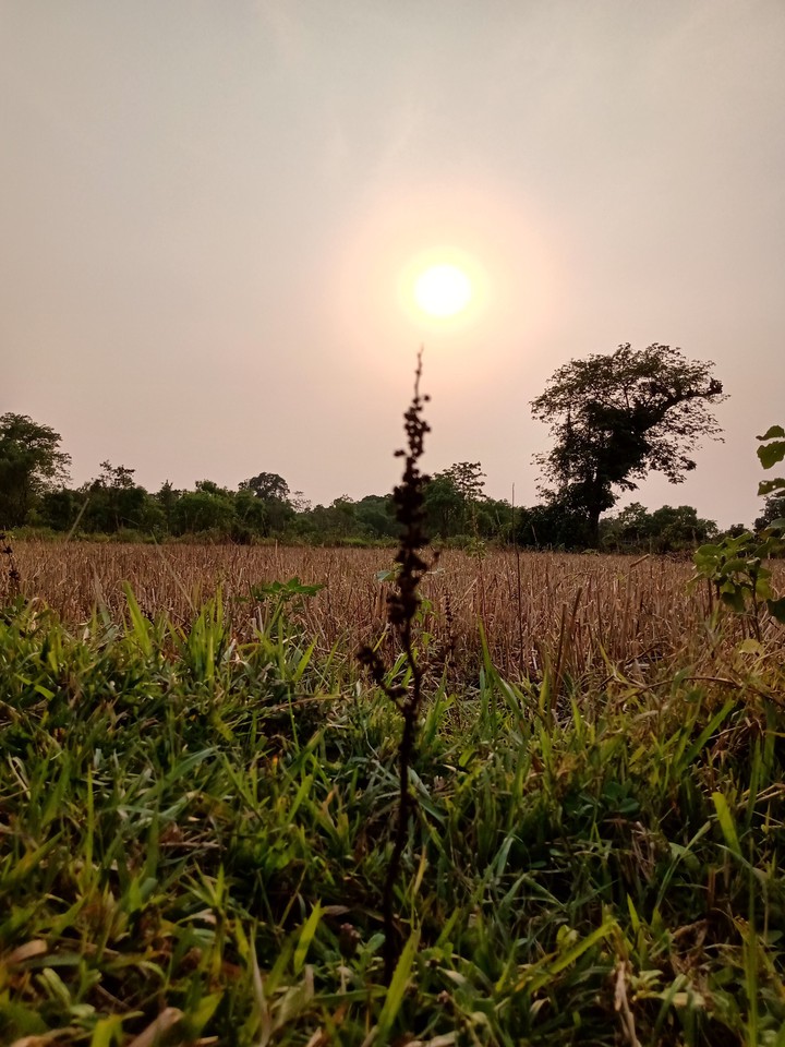 mesmerizing view
