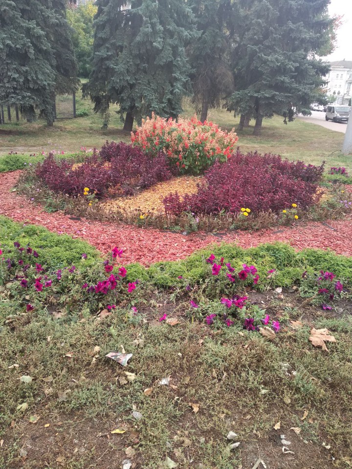 Клумба осенью