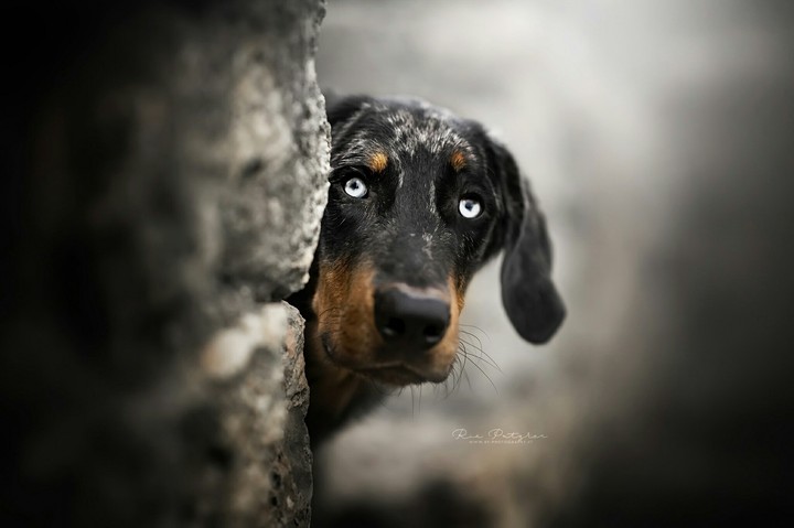 Hi!
