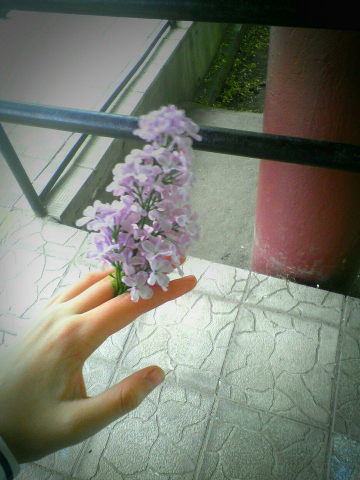 flower