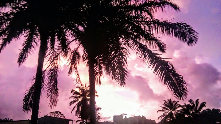 Gamboa do morro